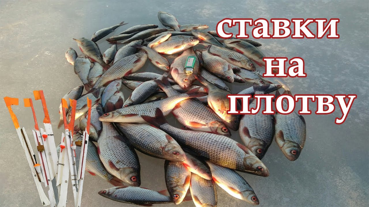 СТАВКИ на ПЛОТВУ со льда. СНАСТЬ "УБИЙЦА ПЛОТВЫ"! ЛУЧШАЯ снасть на плотву со льда.