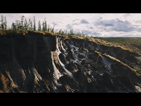 Video: Climate And Soil Of The Leningrad Region, Growing Vegetables