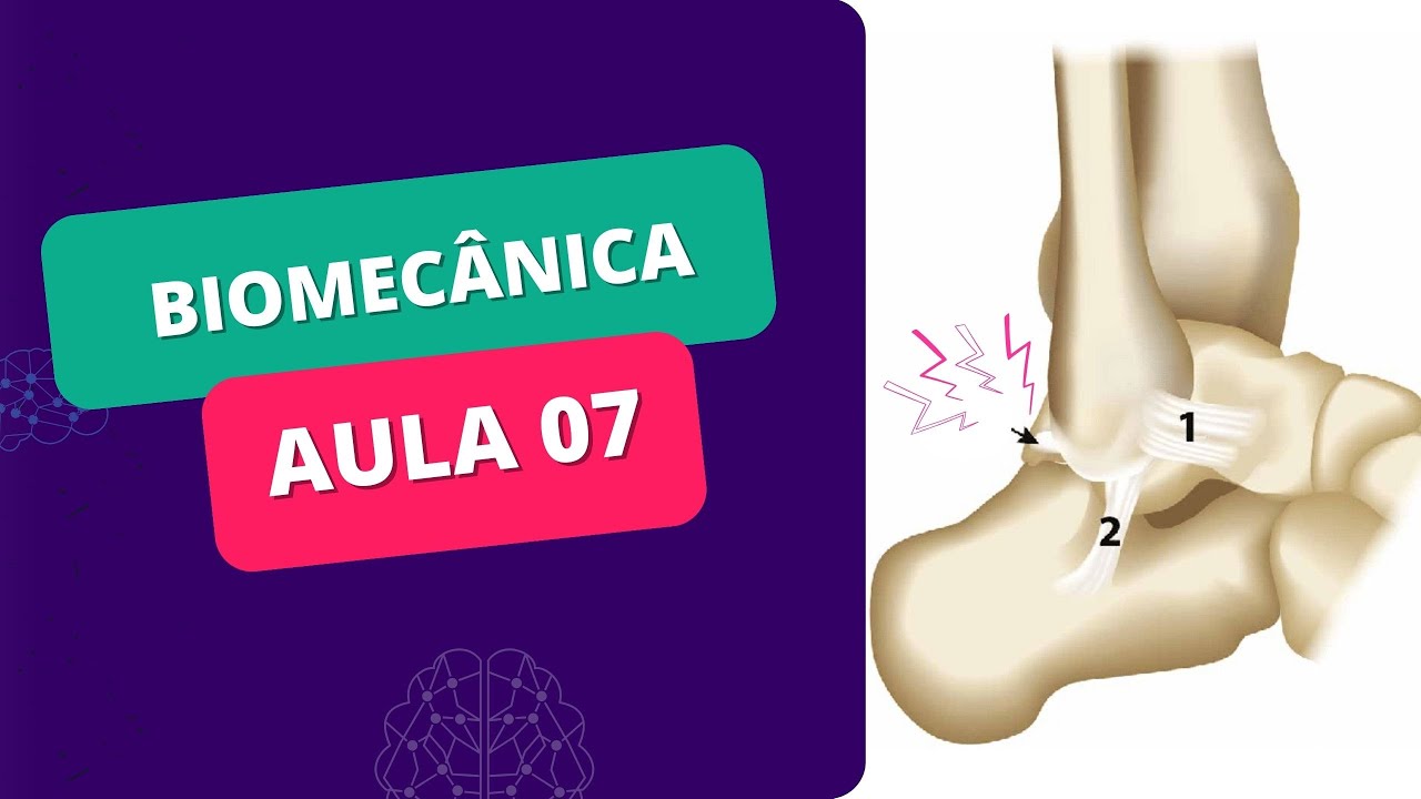 MINI CURSO DE BIOMECÂNICA - Aula 07 - ARTICULAÇÕES (cartilagens e ligamentos)