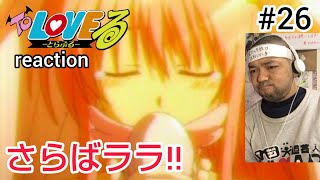 To LOVEる -とらぶる- 同時視聴