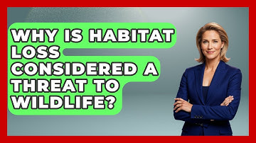 Why Is Habitat Loss Considered a Threat to Wildlife? | Explaining Ecology News