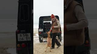 Четыре образа в природной палитре из коллекции 12 STOREEZ MEN