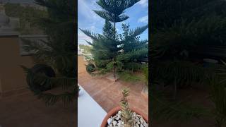 Planta baja Orihuela costa #immobilier #realestate #ventacasa #home #inmobiliaria #spain #beach