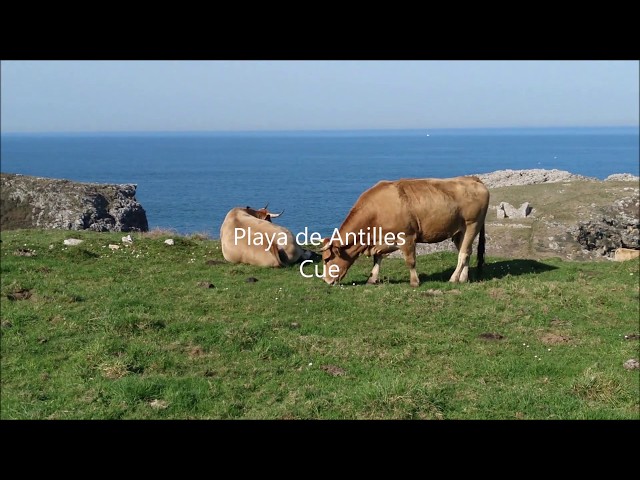 La Playa de Antilles en Cue, aguas cristalinas, ideale para ir con niños y dsifrutar del snorkel