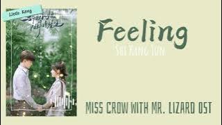 Feeling - Shi Kang Jun (Miss Crow With Mr. Lizard OST)