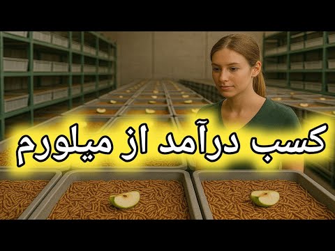 آموزش پرورش میلورم قسمت هفتم پرورش میلورم پرورش سوسک تاریکی میلورم غذای پرنده