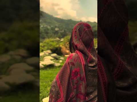 Ek aakhri dafa aaunga tumhare pass 🤌💔🩹 New Trending Reels #ytshorts #love #poetry #sad #reels #video