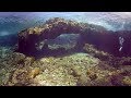 Dive 501: Sandy Channel Hawaii HI 360 VR