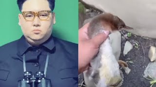 金正恩vs恩を仇で返す鳥