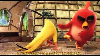 Angry Birds: Il Film - teaser Trailer Ufficiale sottotitolato ITALIANO [HD]
