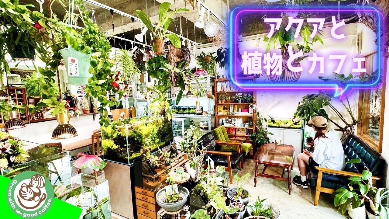 【植物とアクア】店内で植物とアクアリウムとメダカに癒されるカフェ（グリーンウィズグッドコーヒーはこんなお店デス）