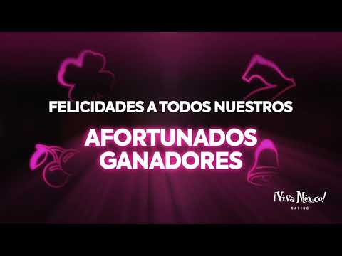 DURA PELEA ENTRE SOL PEREZ Y JAVIER MILEI - Tendencias Online - TV