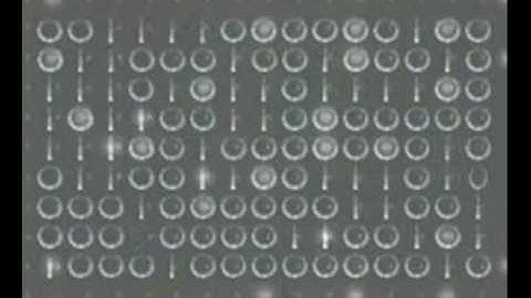 Vídeo 005/15 - Números binários