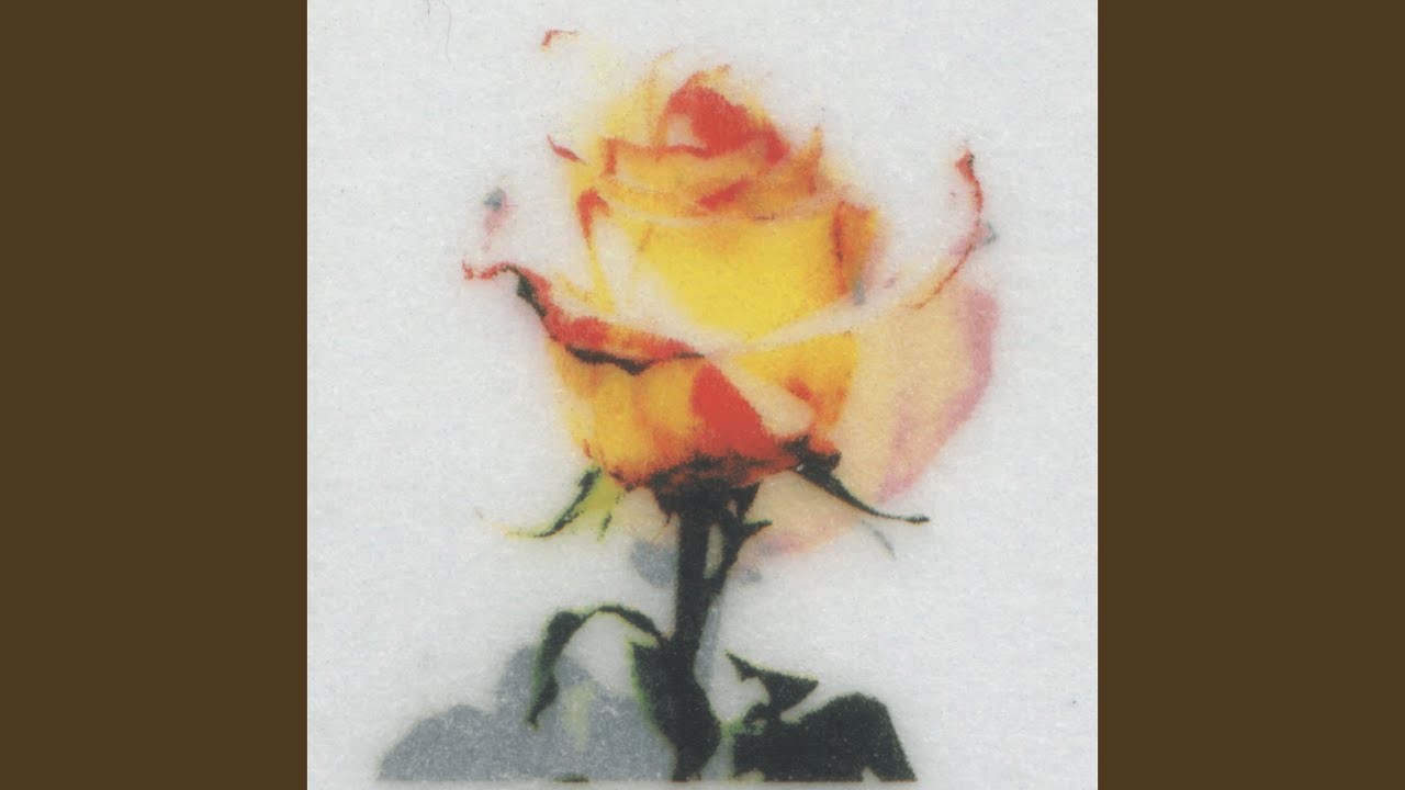 Implicit Distance auf YouTube ansehen Implicit Distance auf YouTube ansehen