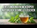 Brennnesseltee Wirkung – Entzuendung Natuerlich Aus Dem Koerper Entfernen