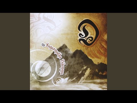 The D Project — I'm Coming Down