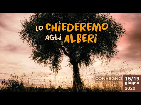 "Lo chiederemo agli alberi" – ultima serata