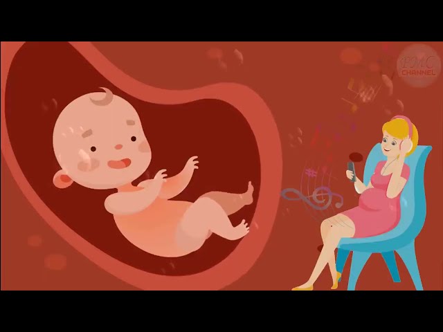 🎵🎵🎵 Pregnancy music for unborn baby ♥ Brain development ♥ Baby kick in the womb 🎵🎵🎵 class=