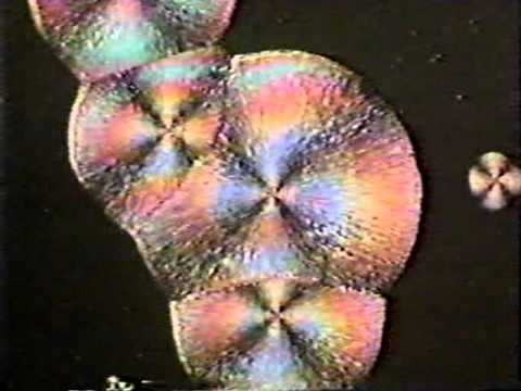Glands and hormones - YouTube