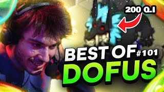 SAPEUH JOUE AVEC UN OUGI QUI POSSEDE 200 DE QI - Best Of Dofus #101