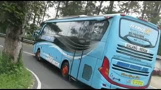 Cinematic Bus STJ Bagheera Dan Tuscany