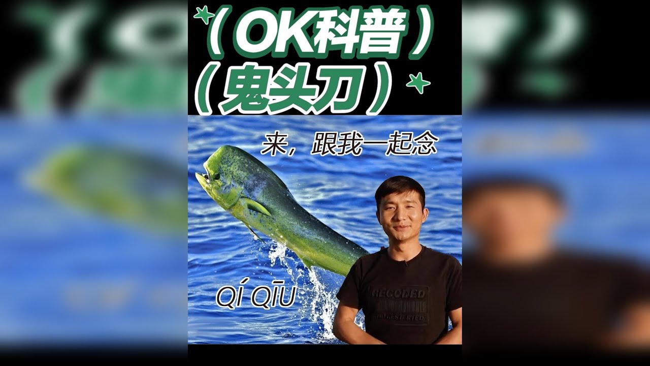 鲯鳅,又名鬼头刀, 成鱼头部侧面观略呈方形;额部有骨质隆起,并随着年龄增长而增高,雄鱼尤为明显,鲯鳅在世界各地的海钓爱好者中人气极高,使用简单 ...