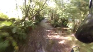 Fording the River Mole at North Heasley in Devon