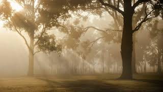 Discover I inola #music #cinematic #rest