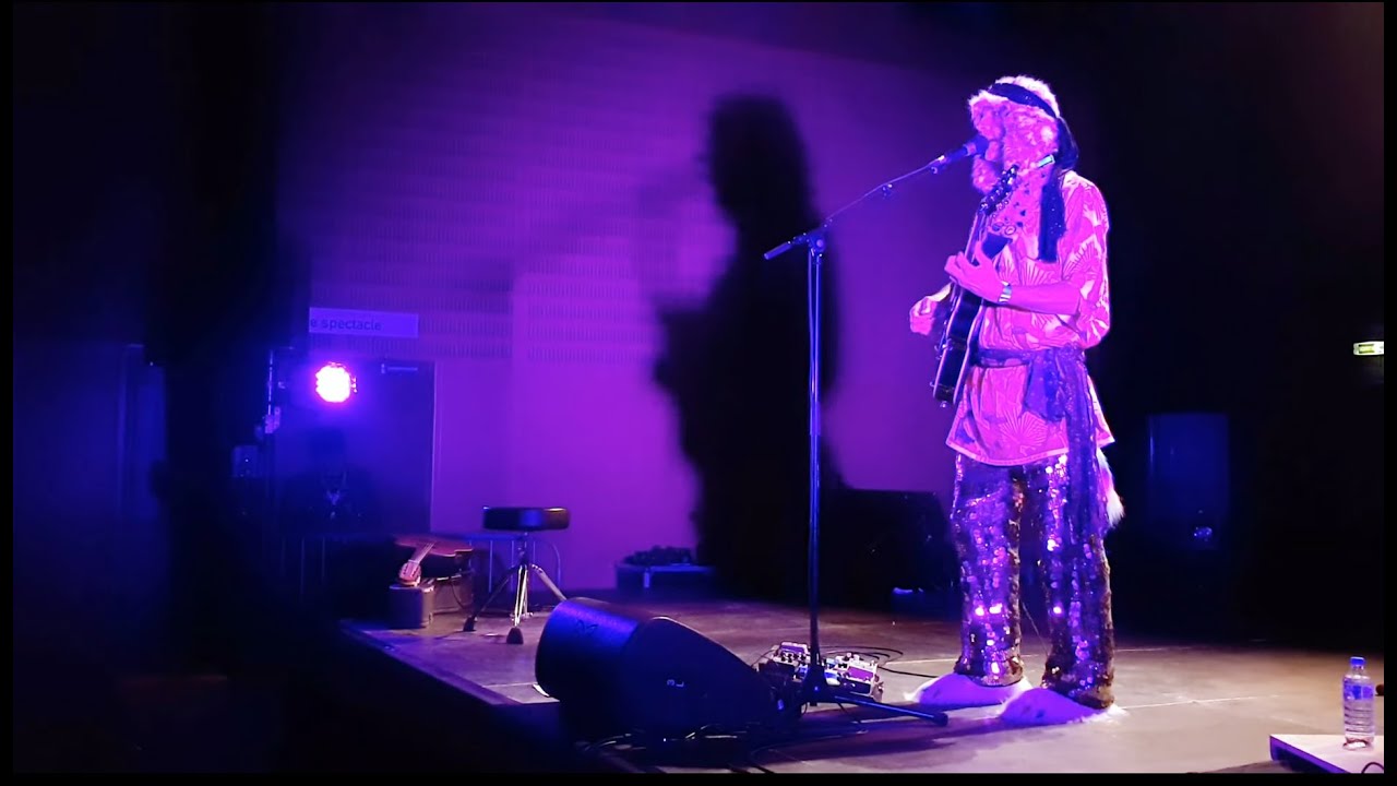 Bob Drake - The Parthenon Replica, 11th Rock In Opposition festival, France, 15/09/2018 (02/12)