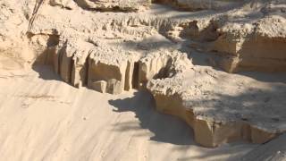 Nature In De Panne Belgium Summer 2013