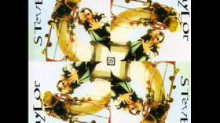 Steve Taylor - 3 - Smug - Squint (1993)