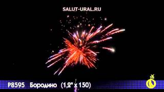 Р8595 Салют (1,2x150) Бородино