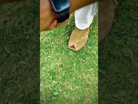 My New Tikto Video Https Vm Tiktok Com ZSJfoAdj1 