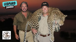 Epic Leopard Hunt in Zambia