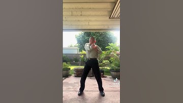 Straight Punch  #fajing #kungfu#dongphuonghoi #martialarts #vothuat #wingchun