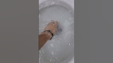 Powerful High Tank Toilet Overflow!