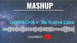 ROSALÍA - DESPECHÁ MASHUP