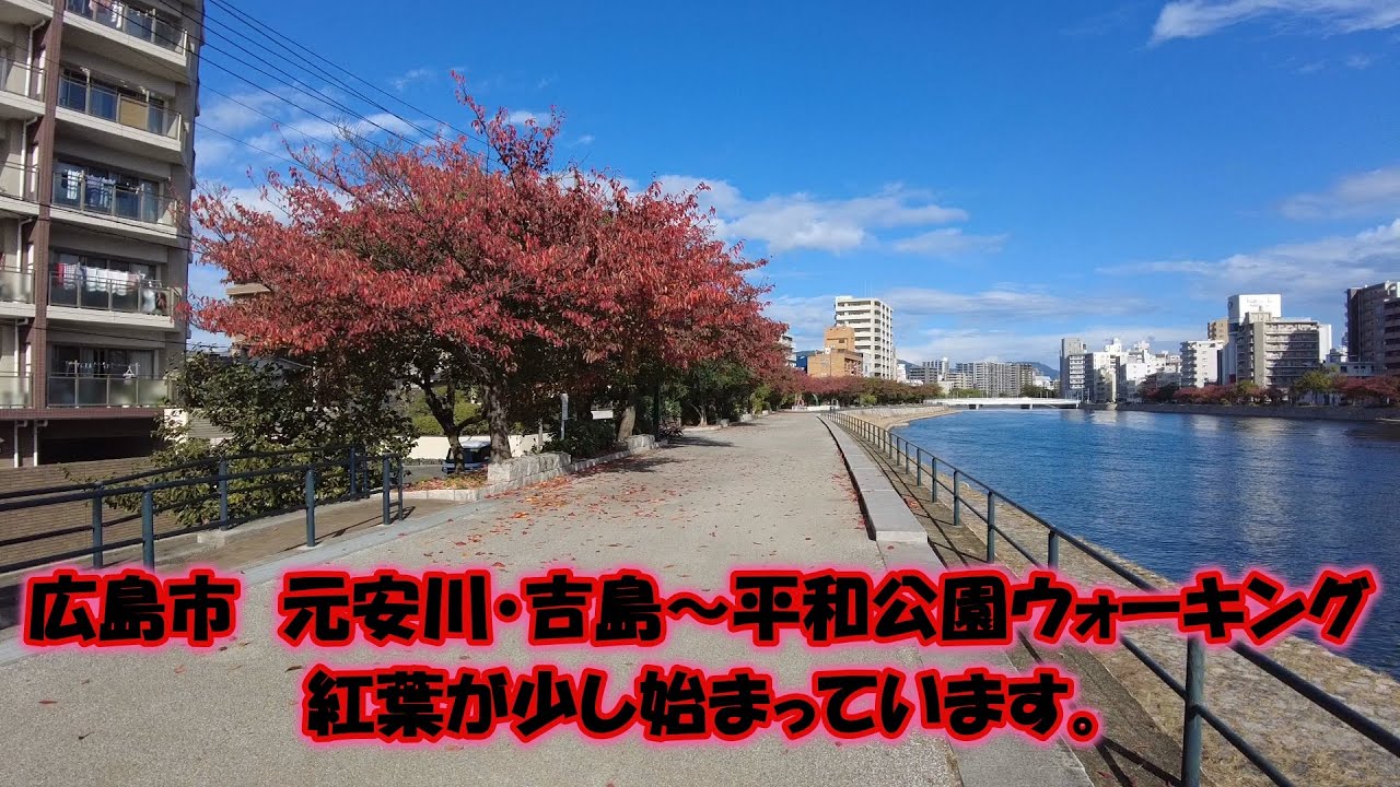 紅葉が始まった広島市 元安川 東側 平和公園を紹介します 撮影日 11 04 Youtube