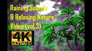 4K New 2022 Raining Sounds & Relaxing Nature Video - Sleep/ Relax/ Study/ Meditate - Ultra Hd Vol. 3