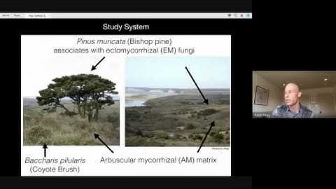 Genomic Social Hour #3: Microbiome and Host Associated Microbes II | California Academy of Sciences