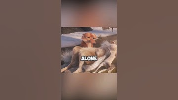 Thumbnail of The DEATH of Scrat: A HEARTBREAKING Farewell. 💔😢