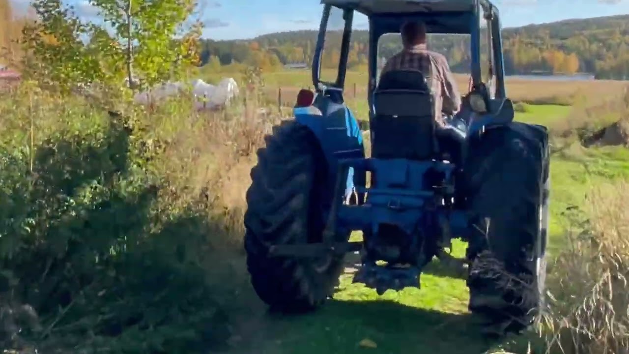 Veterantraktor Fordson major