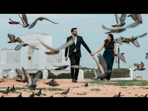 The Journey To Mr. & Mrs. | Stella Ramola & Daniel Davidson