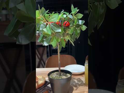 РЕСТОРАН С САМЫМИ НЕОБЫЧНЫМИ ПОДАЧАМИ БЛЮД В ПЕТЕРБУРГЕ – LETH #еда #рекомендации #питер #идеи