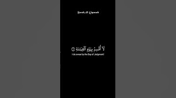 لا اقسم بيوم القيامة #تلاوة_خاشعة #قران_كريم