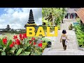 BALI | Exploring Ubud and North Bali, Itinerary &amp; Expenses | Indonesia | Part 2