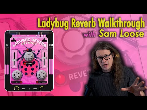 LadyBug LoFi Reverb - Walkthrough with Sam Loose