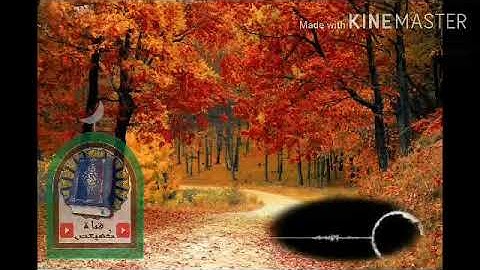 لايفوتك خشوع وبكاء الشيخ أدريس أبكر سورة القيامة Sourat Al-Qyama