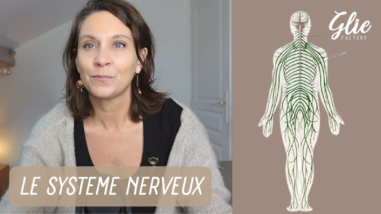 SYSTEME NERVEUX et SANTE