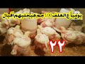 عمر 22 يوم 100جم ع الكيلو العلف هيوفر 1000جنيه علف ويزود وزن الفراخ بطريقه رهيبه وهيمنع الإسهالات